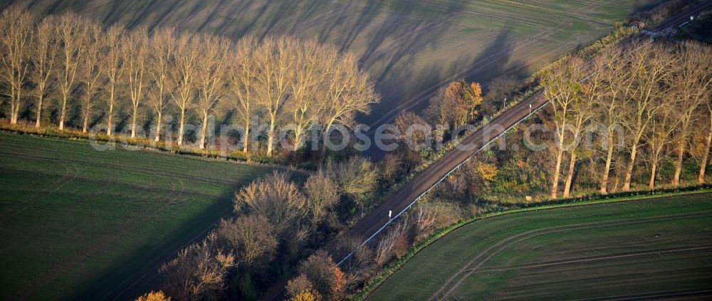 Aerial photograph Werneuchen - Late autumn landscape along the field and tree rows on the railway line on the outskirts of Werneuchen in Brandenburg