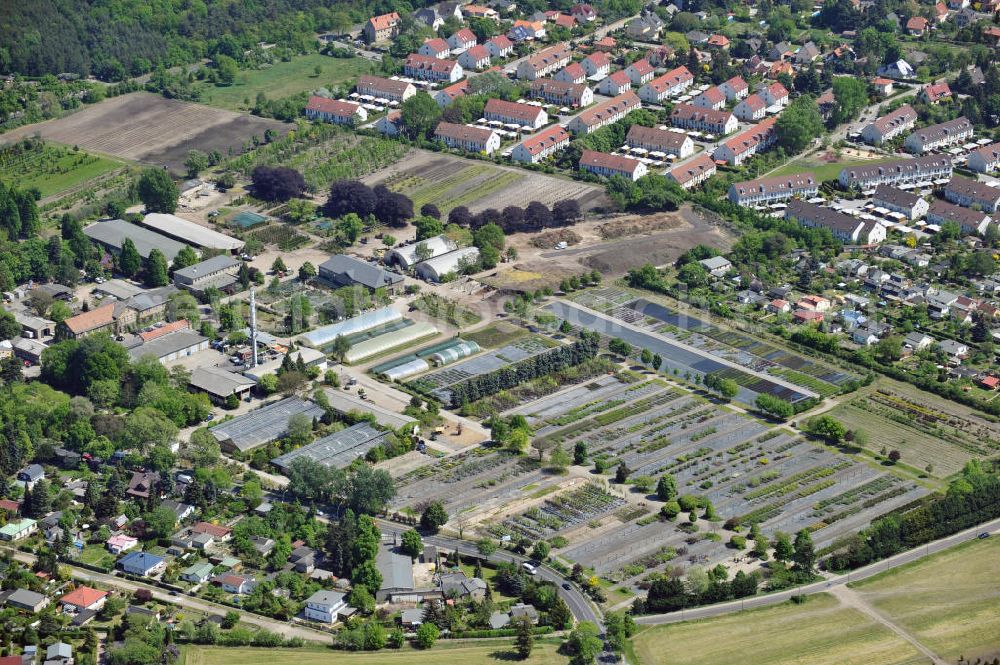 Aerial photograph Berlin - Gelände der Späthsche Baumschulen Handel GmbH an der Späthstraße in Berlin-Baumschulenweg. Area of the Spaethsche arboretum at the street Spaethstrasse in the Berlin local part Baumschulenweg.