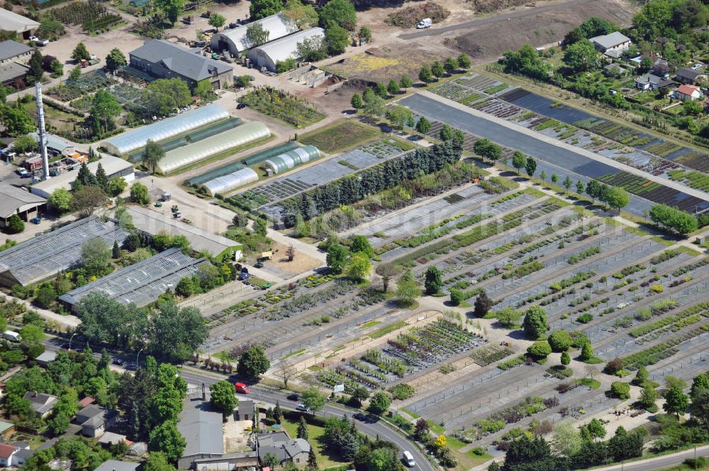 Berlin from above - Gelände der Späthsche Baumschulen Handel GmbH an der Späthstraße in Berlin-Baumschulenweg. Area of the Spaethsche arboretum at the street Spaethstrasse in the Berlin local part Baumschulenweg.