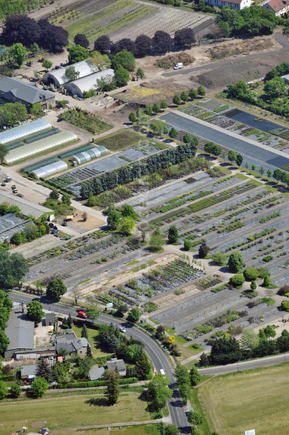 Berlin from the bird's eye view: Gelände der Späthsche Baumschulen Handel GmbH an der Späthstraße in Berlin-Baumschulenweg. Area of the Spaethsche arboretum at the street Spaethstrasse in the Berlin local part Baumschulenweg.