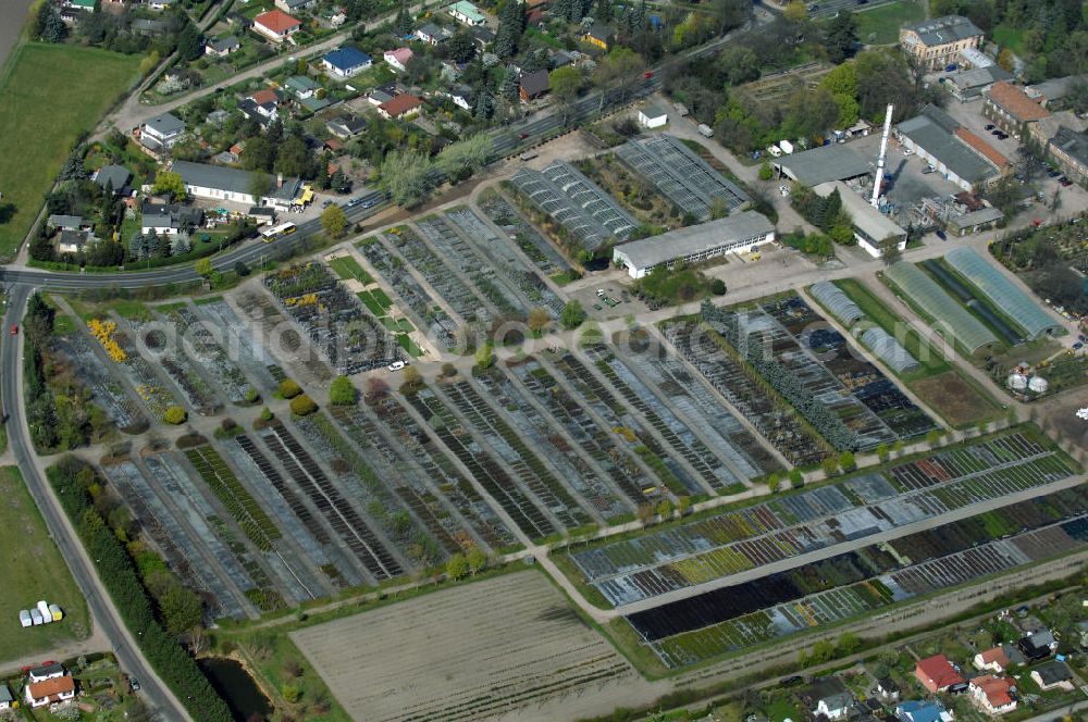 Berlin from above - Blick auf das Gelände der im Jahre 1720 durch Christoph Späth gründeten Baumschule, die sich später zu einer der größten der Welt entwickelt hat. Durch König Friedrich Wilhelm I., der oft in der kleinen Gärtnerei zu Gast war, wurde Späth zum Kunstgärtner und vollberechtigten Berliner Bürger ernannt. Heute gilt das Baumschulenareal als Geheimtipp für alle Gartenfreunde und Grundstücksbesitzer Berlins.