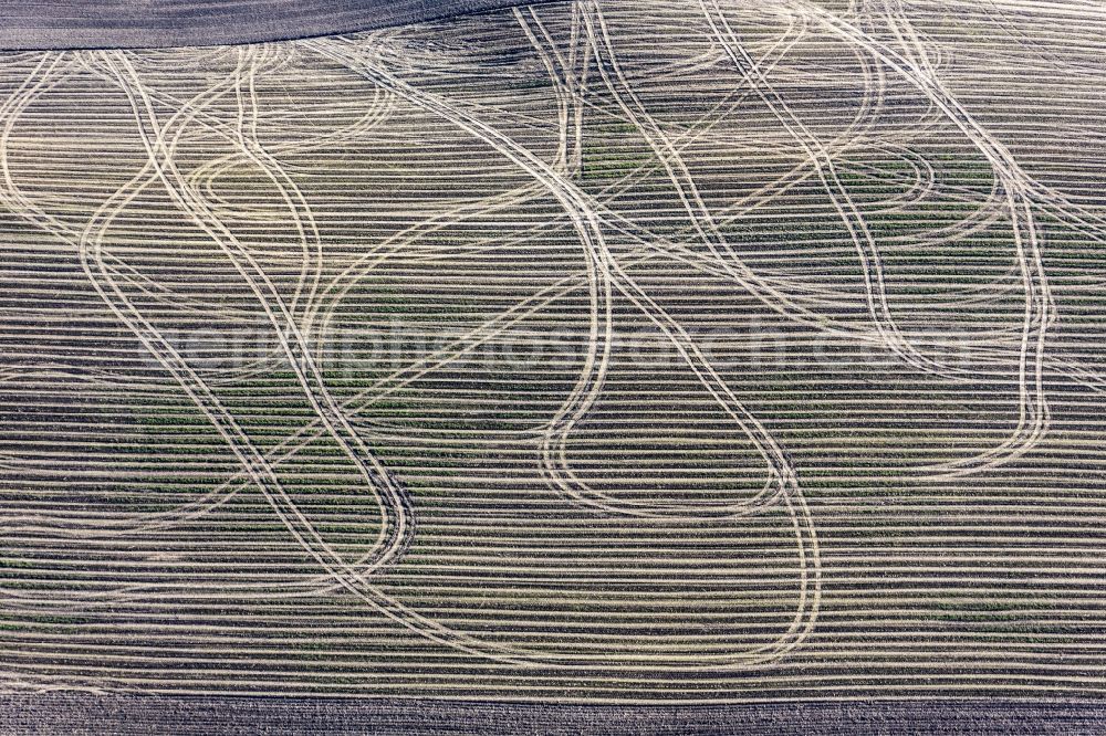 Aerial image Wurmsham - Traces of the farmer in his field in Wurmsham in Bavaria