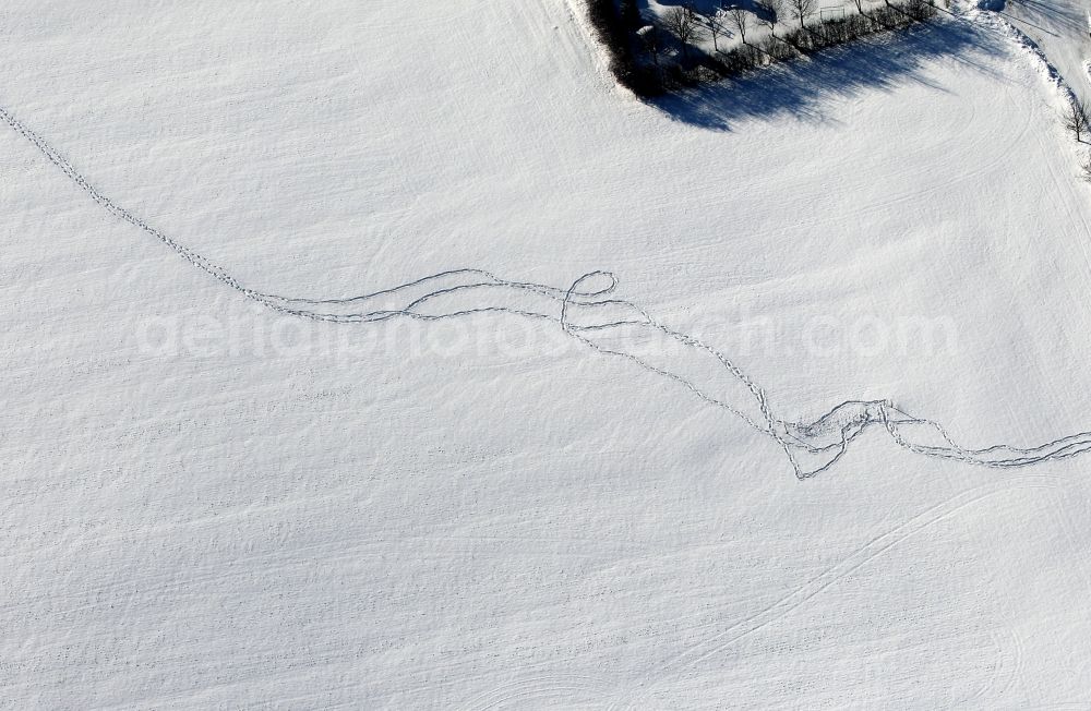 Aerial image Grossbreitenbach - Tracks on a snow covered field in Grossbreitenbach in the state of Thuringia