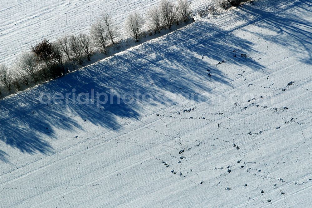 Aerial photograph Arnstadt - Tracks on a snow covered field next to shadows of trees near Arnstadt in the state of Thuringia