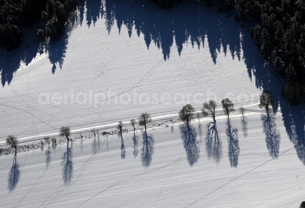 Schwarzburg from above - Tracks on a snow covered field next to shadows of trees near Schwarzburg in the state of Thuringia