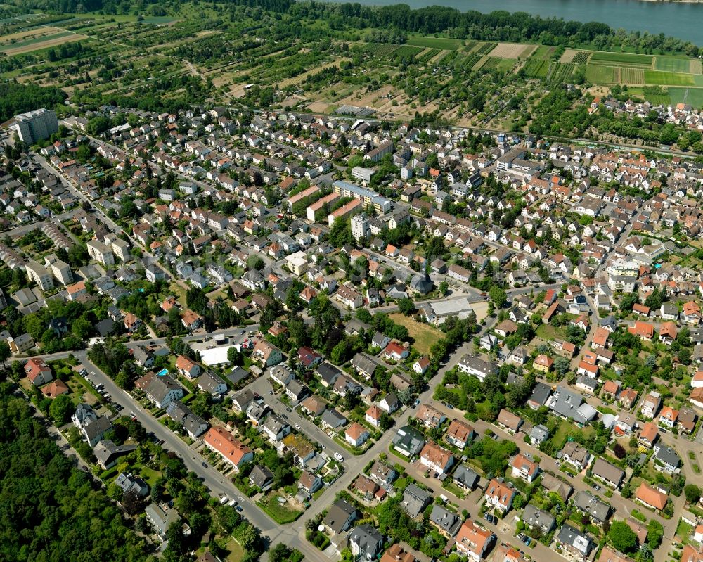 Budenheim from above - City view of Budenheim in the state Rhineland-Palatinate