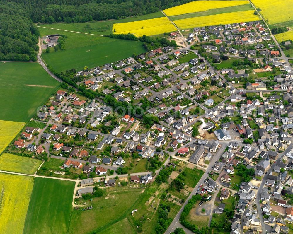 Dachsenhausen from the bird's eye view: City view from Dachsenhausen in the state Rhineland-Palatinate