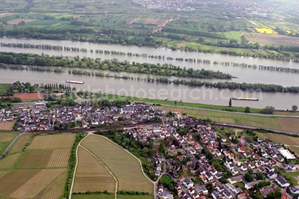 Eltville am Rhein from the bird's eye view: Blick auf die Stadt Eltville in Hessen, mit dem Stadtteil Erbach, dem Rhein und der St.Markus Kirche, die im 15. Jahrhundert errichtet wurde. View to the city of Eltville in Hesse at the Rhine, with the district Erbach and the St. Markus church.