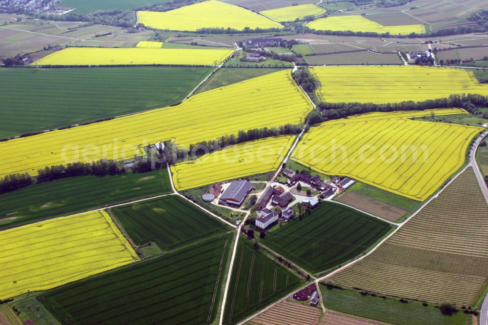 Eltville from the bird's eye view: Blick auf die Stadt Eltville am Rhein in Hessen, mit dem Stadtteil Eichberg. View to the city of Eltville am Rhein in Hesse, with the district Eichberg.