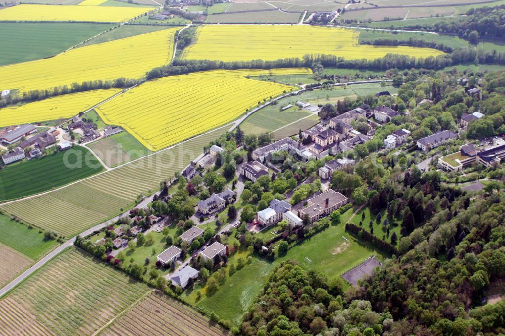 Aerial image Eltville - Blick auf die Stadt Eltville am Rhein in Hessen, mit dem Stadtteil Eichbg. View to the city of Eltville am Rhein in Hesse, with the district Eichberg.