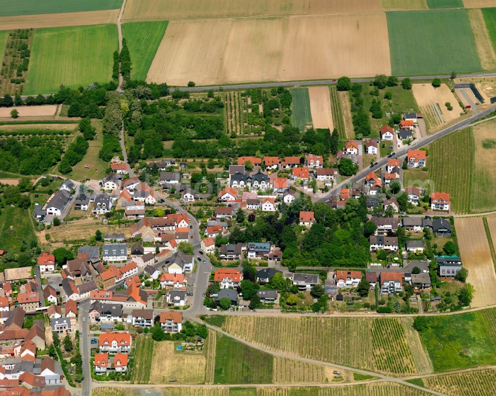 Aerial image Essenheim - City view from Essenheim in the state Rhineland-Palatinate