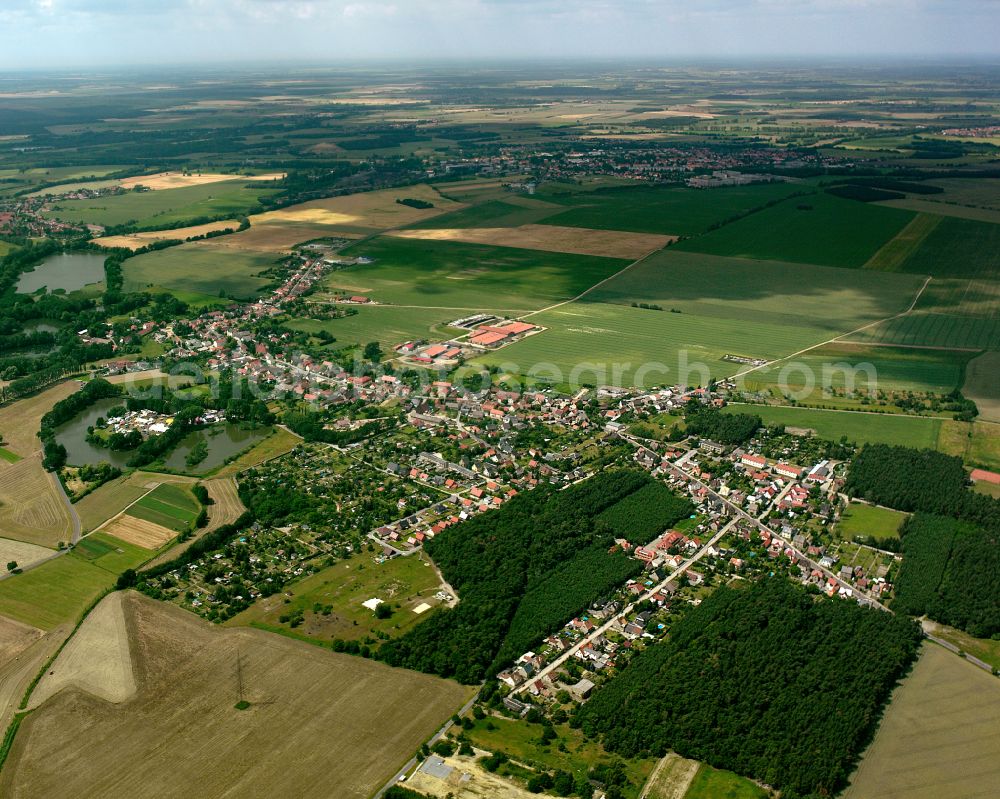 Frauenhain from the bird's eye view: City view on down town in Frauenhain in the state Saxony, Germany