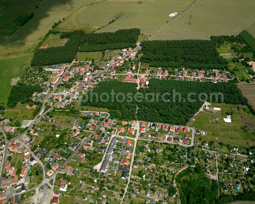 Aerial image Frauenhain - City view on down town in Frauenhain in the state Saxony, Germany