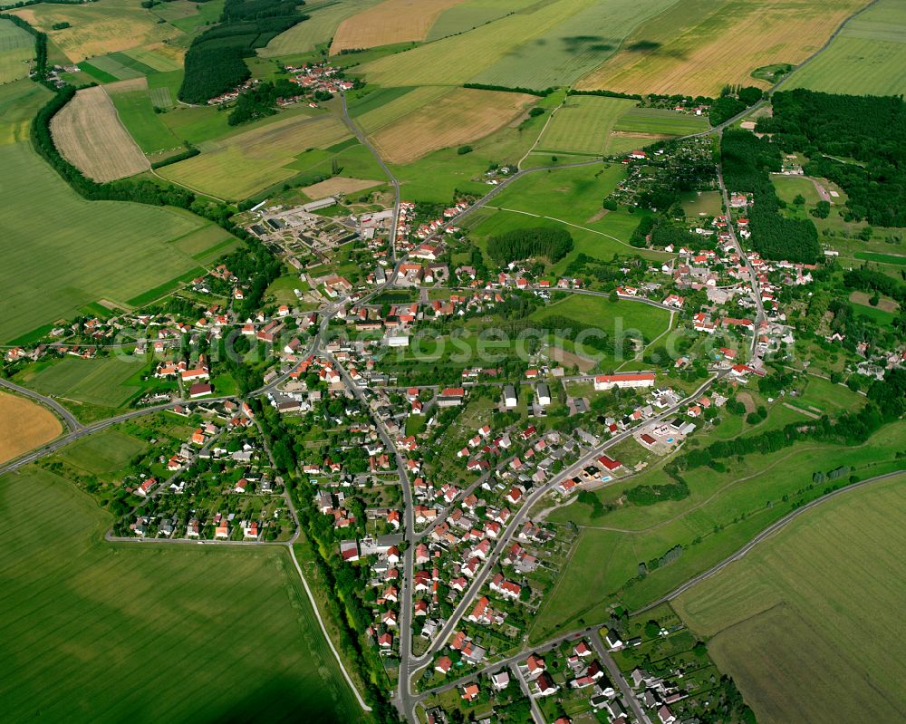 Radewitz from the bird's eye view: City view on down town in Radewitz in the state Saxony, Germany