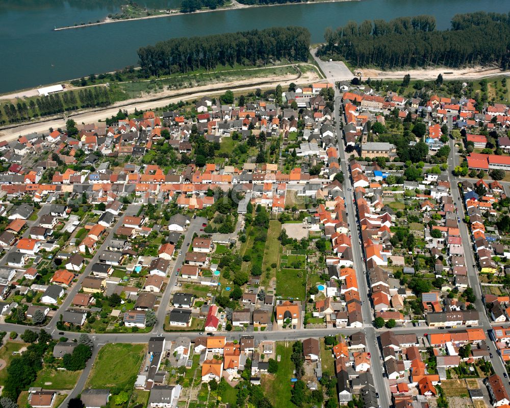 Rheinhausen from the bird's eye view: City view on down town in Rheinhausen in the state Baden-Wuerttemberg, Germany