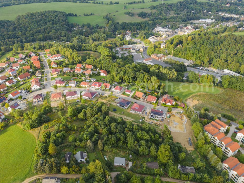 Netzschkau from the bird's eye view: City view of the inner city area in Netzschkau in the federal state of Saxony