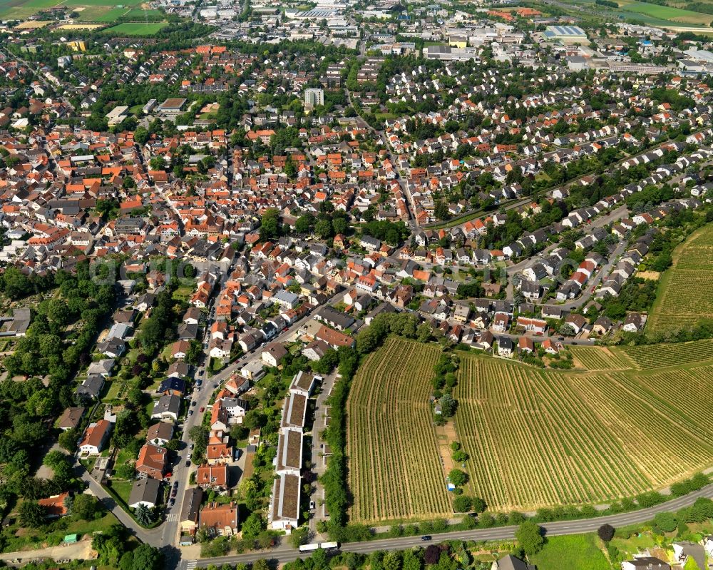 Mainz Hechtsheim from the bird's eye view: Cityscape of Mainz, the district Hechtsheim, in Rhineland-Palatinate