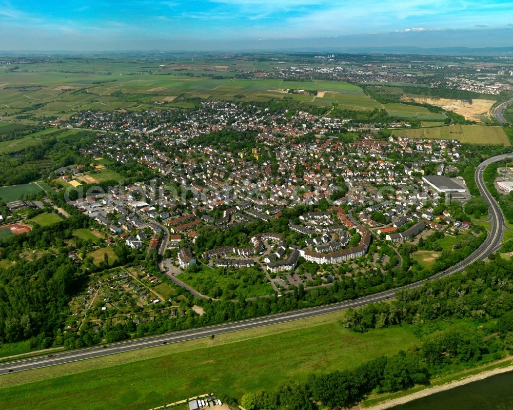 Mainz from above - Cityscape of Mainz, the district Laubenheim, in Rhineland-Palatinate