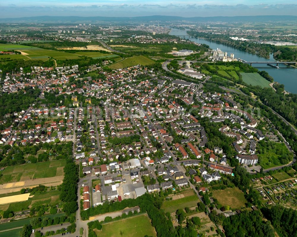 Mainz from the bird's eye view: Cityscape of Mainz, the district Laubenheim, in Rhineland-Palatinate