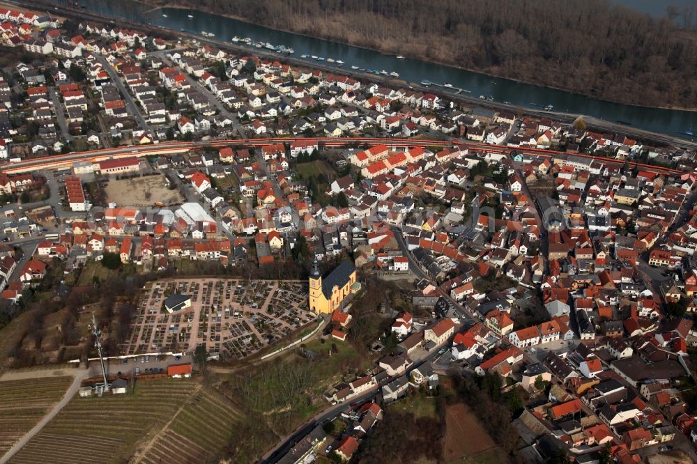 Nackenheim from above - Cityview of Nackenheim in the state of Rhineland-Palatinate