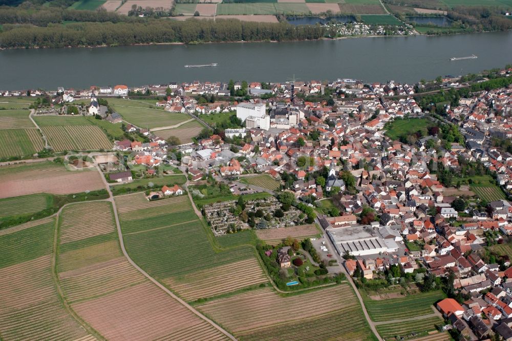 Nierstein from above - Cityview of Nierstein in the state of Rhineland-Palatinate