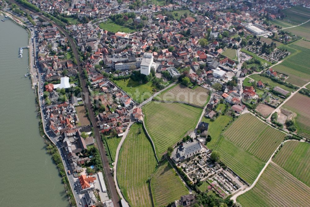 Nierstein from above - Cityview of Nierstein in the state of Rhineland-Palatinate