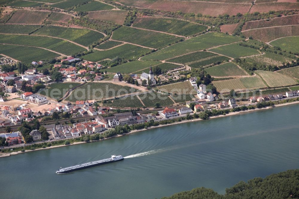 Nierstein from the bird's eye view: Cityview of Nierstein on the Rhine river in the state of Rhineland-Palatinate. In the center the Kilianskirche, surrounded by vineyards