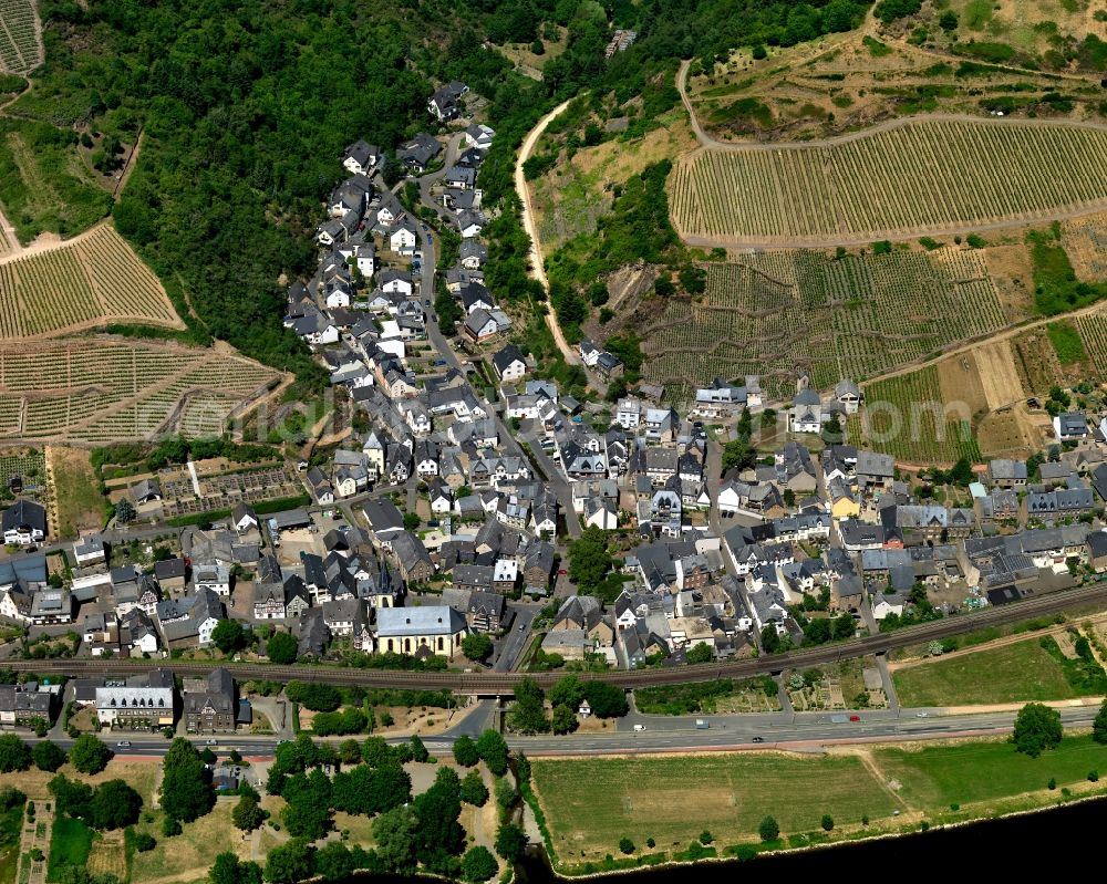 Pommern from the bird's eye view: Cityscape of Pommern the river course of the Moselle in Rhineland-Palatinate