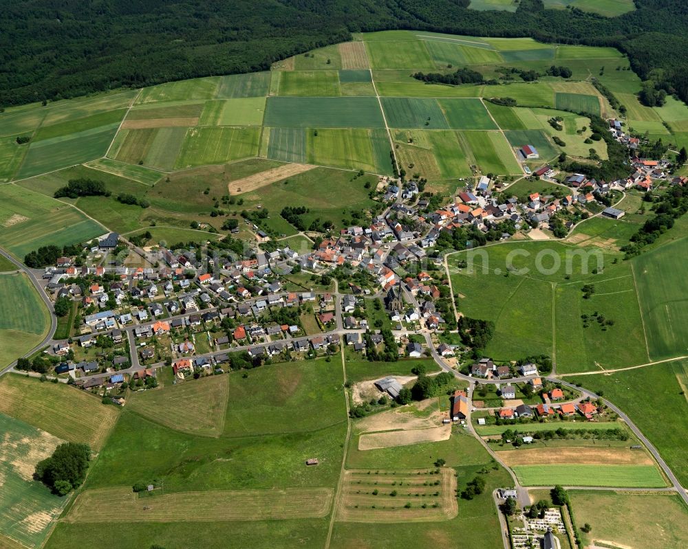 Seesbach from the bird's eye view: Cityscape of Seesbach in Rhineland-Palatinate