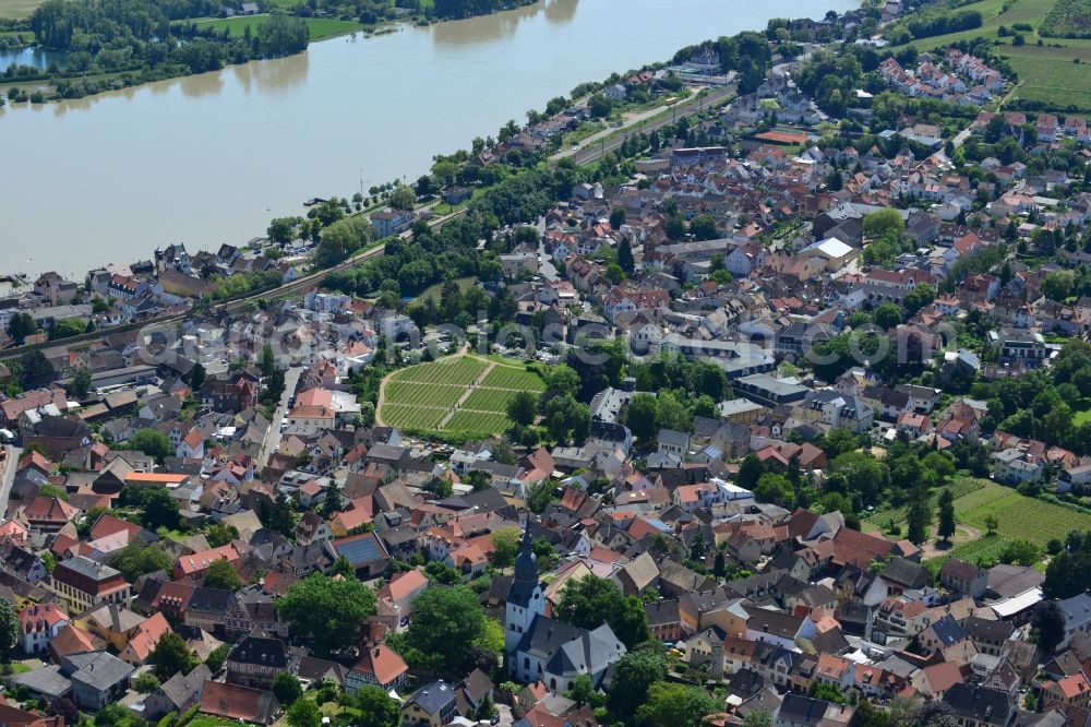 Aerial image Nierstein - City view of the city Nierstein on the Rhine in the Federal State of Rhineland-Palatinate