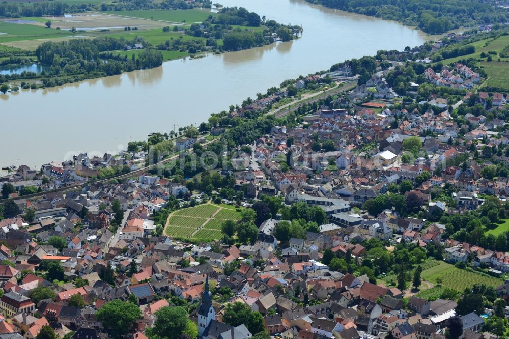 Aerial photograph Nierstein - City view of the city Nierstein on the Rhine in the Federal State of Rhineland-Palatinate