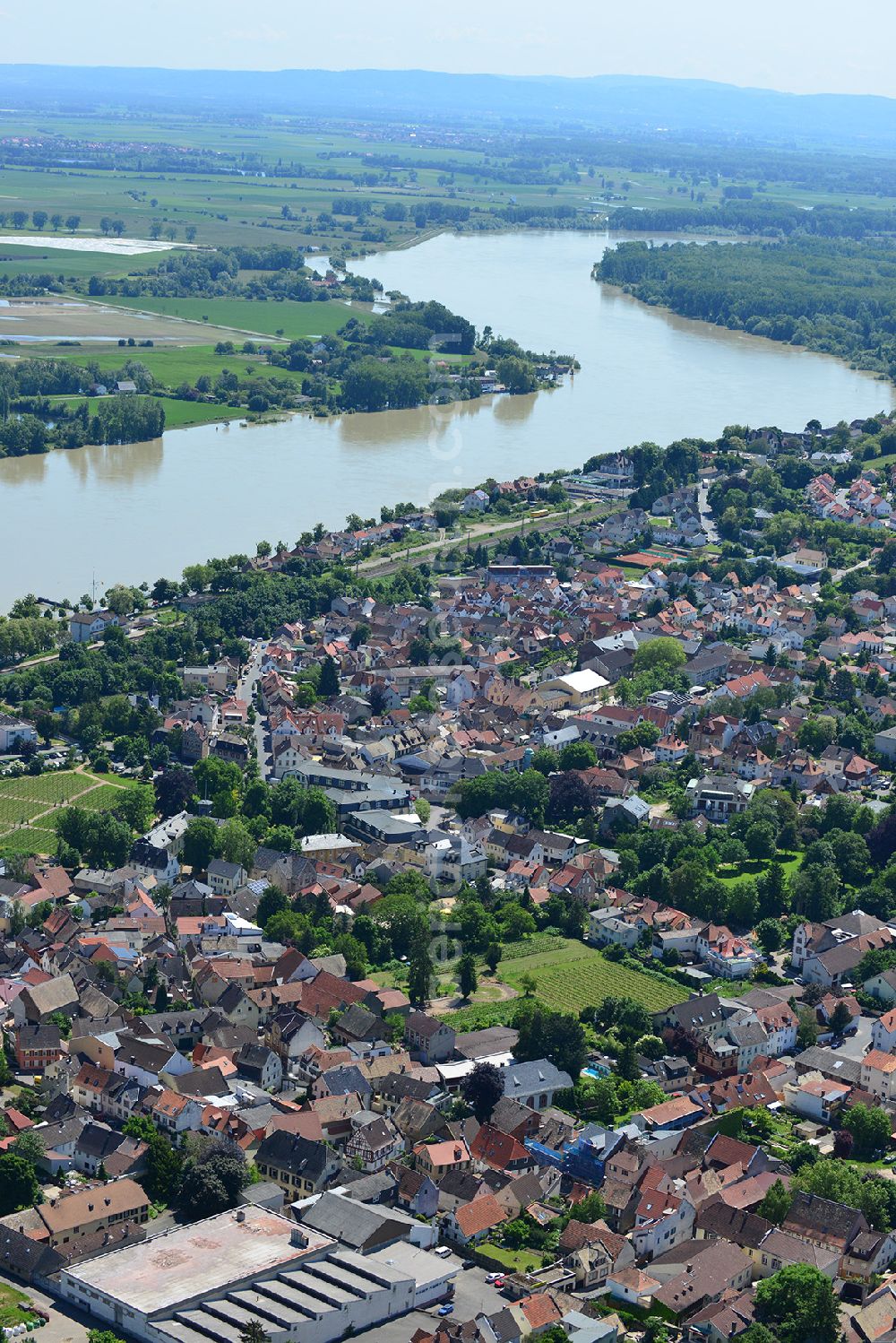 Nierstein from above - City view of the city Nierstein on the Rhine in the Federal State of Rhineland-Palatinate