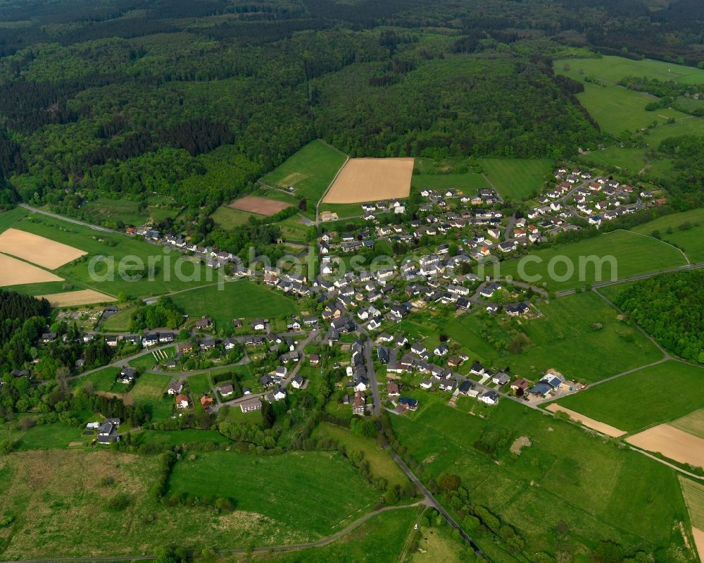 Steinebach an der Wied from the bird's eye view: City view from Steinebach an der Wied in the state Rhineland-Palatinate