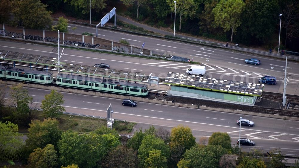 Aerial photograph Bonn - Light rail stop Rheinaue in Bonn in the state North Rhine-Westphalia, Germany