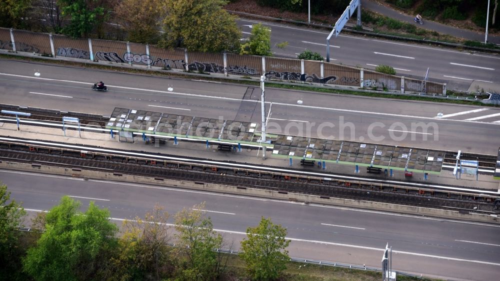 Bonn from the bird's eye view: Light rail stop Rheinaue in Bonn in the state North Rhine-Westphalia, Germany