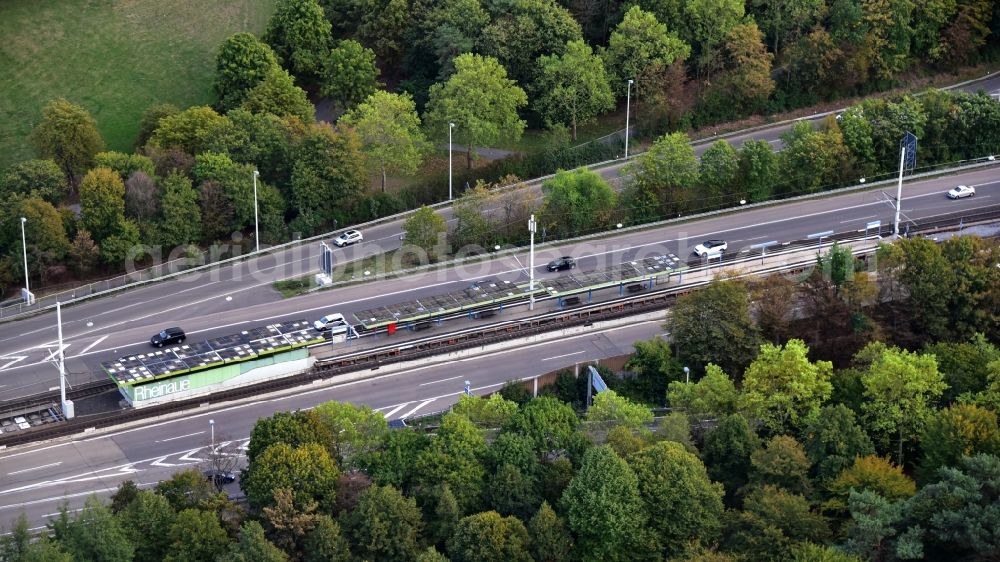 Aerial image Bonn - Light rail stop Rheinaue in Bonn in the state North Rhine-Westphalia, Germany