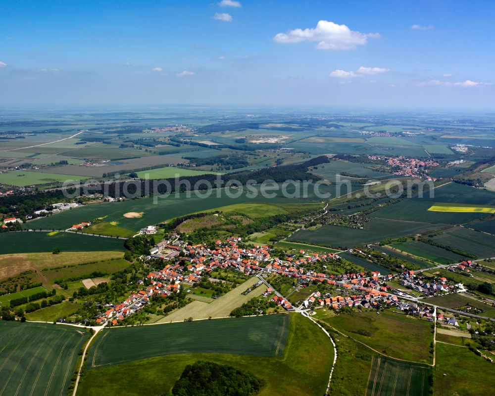 Cattenstedt from above - Urban area with outskirts and inner city area on the edge of agricultural fields and arable land in Cattenstedt in the state Saxony-Anhalt, Germany