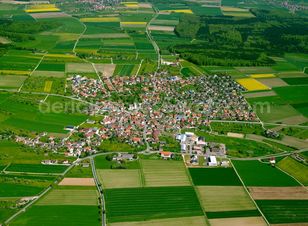 Erbach from the bird's eye view: Urban area with outskirts and inner city area on the edge of agricultural fields and arable land in Erbach in the state Baden-Wuerttemberg, Germany