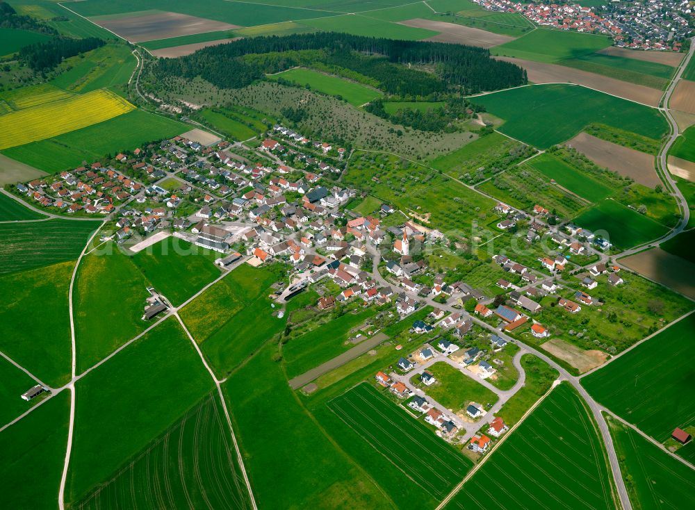 Aerial photograph Langenau - Urban area with outskirts and inner city area on the edge of agricultural fields and arable land in Langenau in the state Baden-Wuerttemberg, Germany