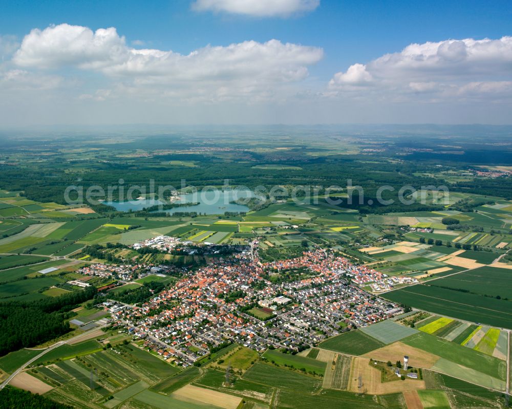 Aerial photograph Liedolsheim - Urban area with outskirts and inner city area on the edge of agricultural fields and arable land in Liedolsheim in the state Baden-Wuerttemberg, Germany