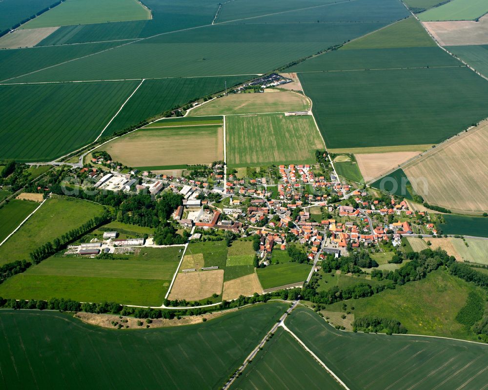 Minsleben from above - Urban area with outskirts and inner city area on the edge of agricultural fields and arable land in Minsleben in the state Saxony-Anhalt, Germany