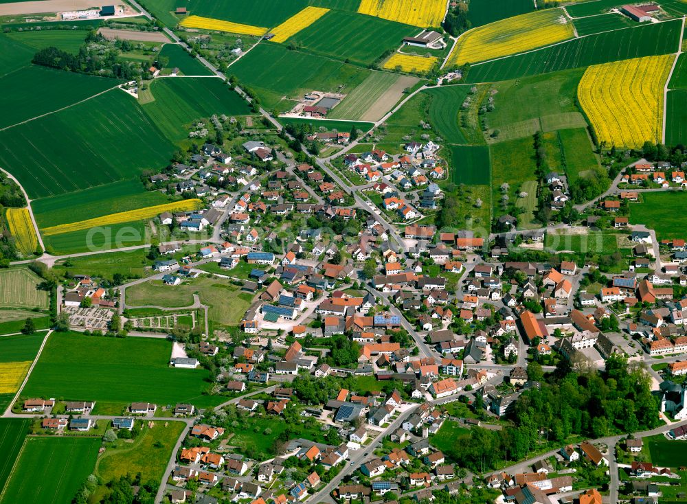 Aerial photograph Oberdischingen - Urban area with outskirts and inner city area on the edge of agricultural fields and arable land in Oberdischingen in the state Baden-Wuerttemberg, Germany