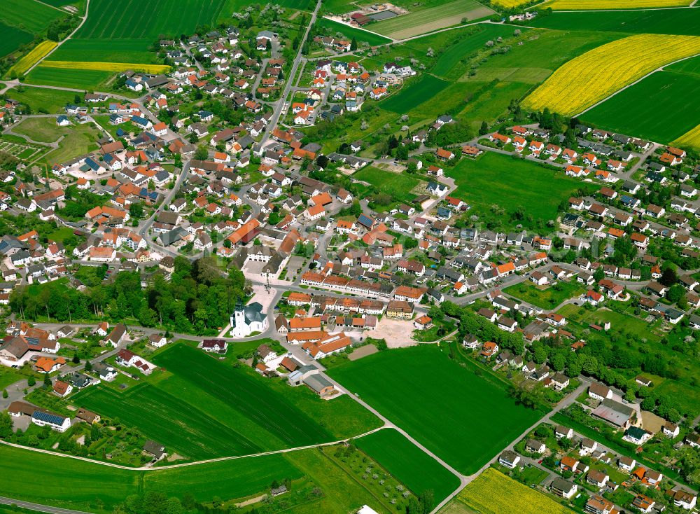 Oberdischingen from the bird's eye view: Urban area with outskirts and inner city area on the edge of agricultural fields and arable land in Oberdischingen in the state Baden-Wuerttemberg, Germany