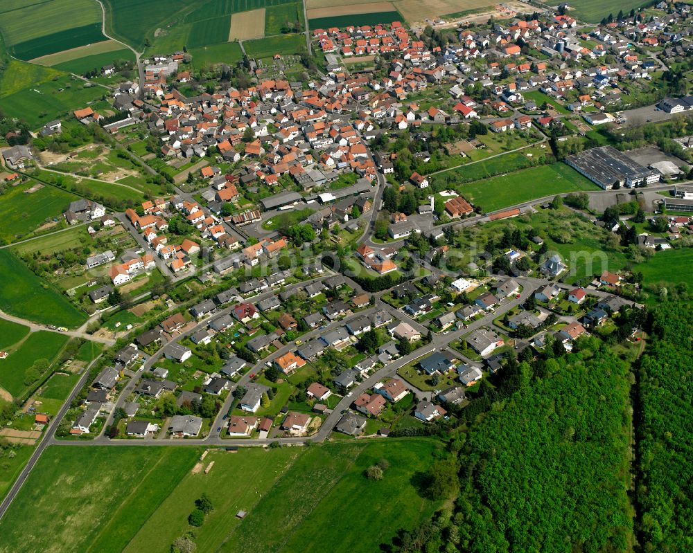 Aerial photograph Queckborn - Urban area with outskirts and inner city area on the edge of agricultural fields and arable land in Queckborn in the state Hesse, Germany