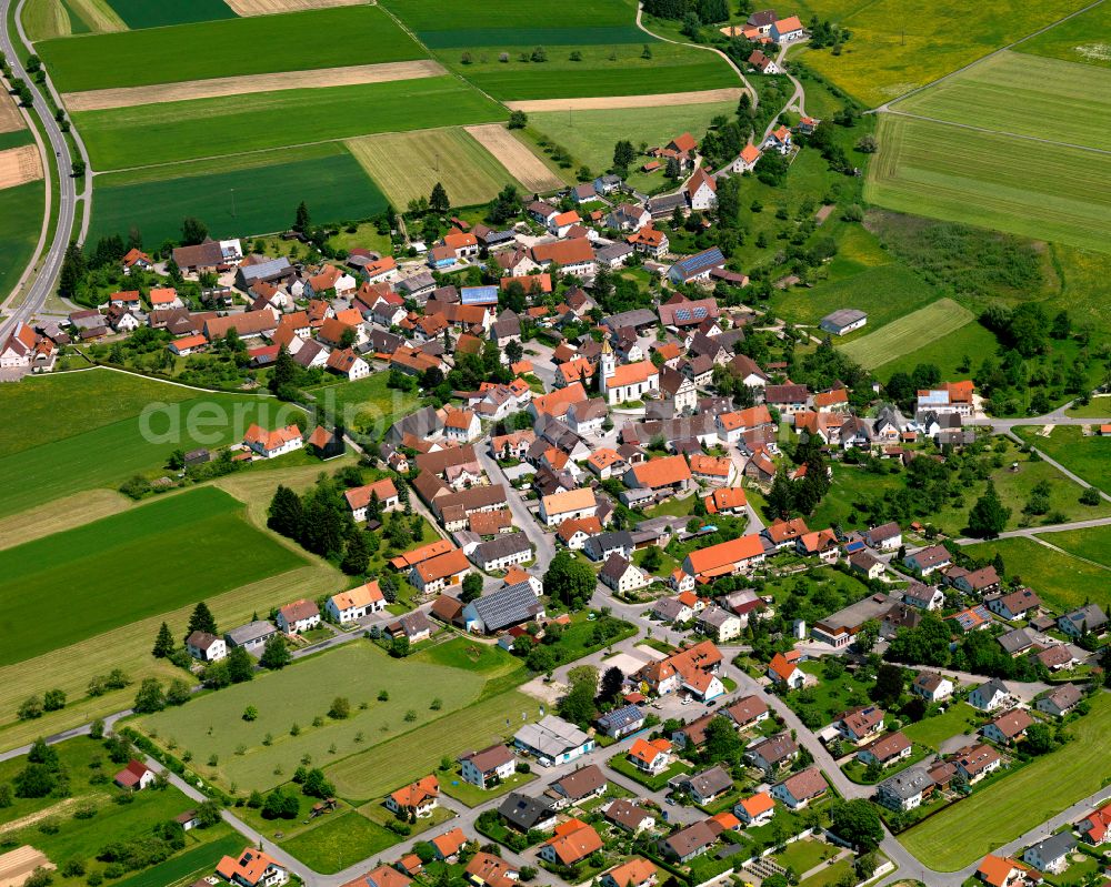 Riedlingen from above - Urban area with outskirts and inner city area on the edge of agricultural fields and arable land in Riedlingen in the state Baden-Wuerttemberg, Germany