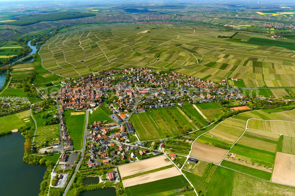 Sommerach from above - Urban area with outskirts and inner city area on the edge of agricultural fields and arable land in Sommerach in the state Bavaria, Germany