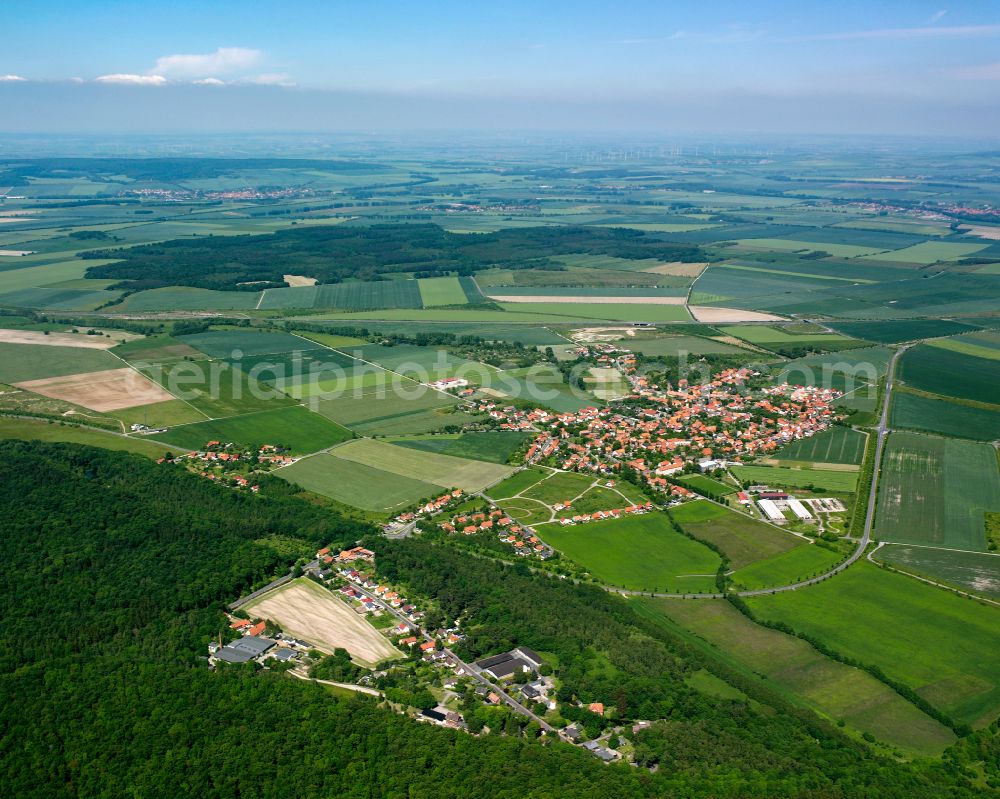 Stapelburg from above - Urban area with outskirts and inner city area on the edge of agricultural fields and arable land in Stapelburg in the state Saxony-Anhalt, Germany