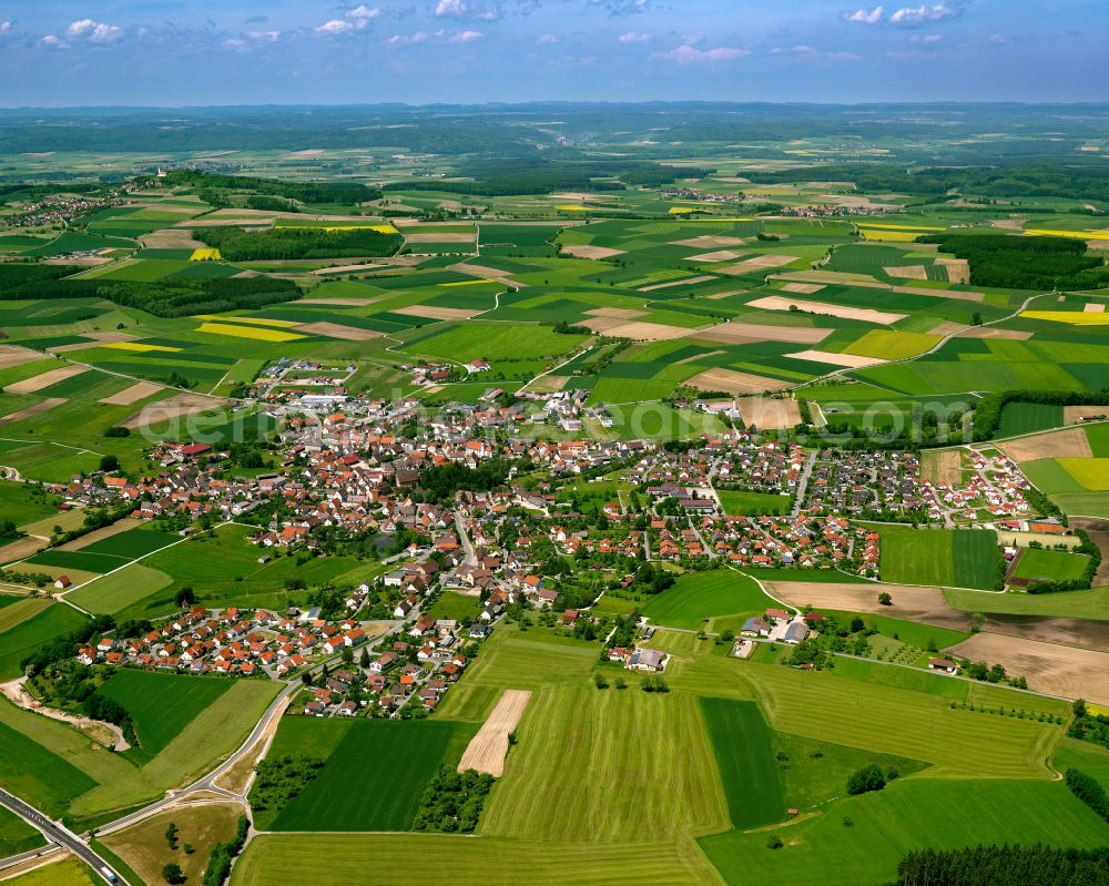 Uttenweiler from the bird's eye view: Urban area with outskirts and inner city area on the edge of agricultural fields and arable land in Uttenweiler in the state Baden-Wuerttemberg, Germany