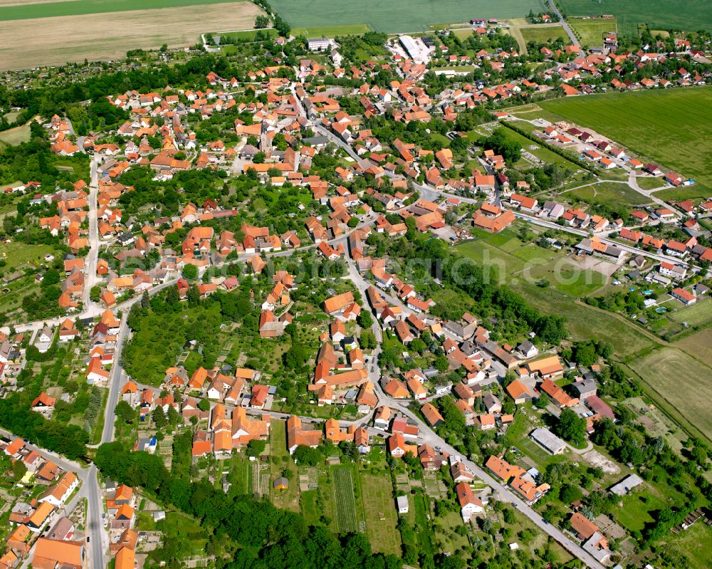 Aerial photograph Veckenstedt - Urban area with outskirts and inner city area on the edge of agricultural fields and arable land in Veckenstedt in the state Saxony-Anhalt, Germany