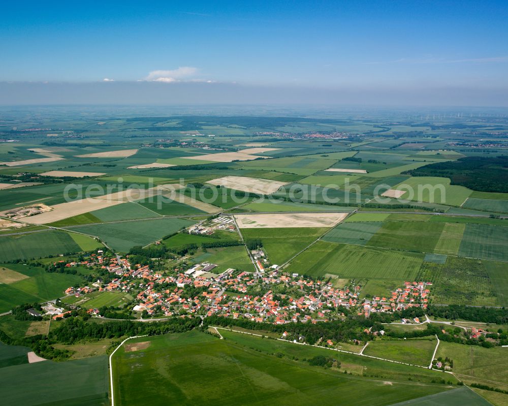 Vienenburg from the bird's eye view: Urban area with outskirts and inner city area on the edge of agricultural fields and arable land in Vienenburg in the state Saxony-Anhalt, Germany